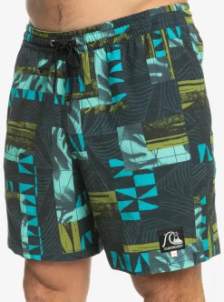 Mens Quiksilver Elastic Waist|Gregg Kaplan Og Arch Blank Canvas Vl 17
