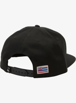 Mens Quiksilver Hats|Hawaii Rooted Snapback Hat