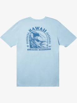 Mens Quiksilver Tees|Hi Natural Resources T-Shirt