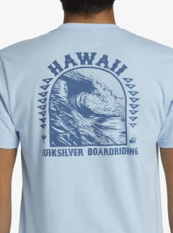 Mens Quiksilver Tees|Hi Natural Resources T-Shirt