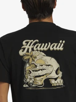 Mens Quiksilver Tees|Hi Water On The Brain T-Shirt