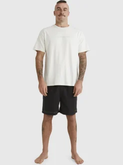 Mens Quiksilver Tees|Mikey T-Shirt