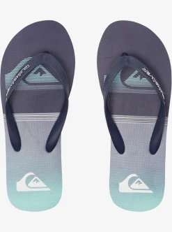 Mens Quiksilver Sandals|Molokai Swell Vision Flip-Flops