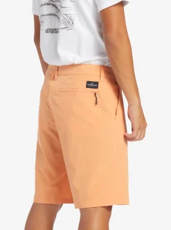 Mens Quiksilver Boardshorts|Ocean Union Amphibian 20