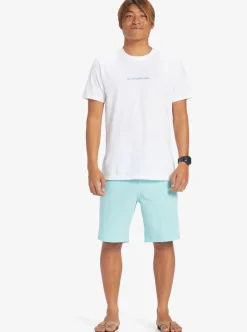 Mens Quiksilver Boardshorts|Ocean Union Amphibian 20