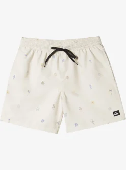 Mens Quiksilver Boardshorts|Re-Mix 17" Volleys