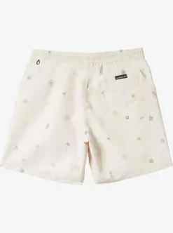 Mens Quiksilver Boardshorts|Re-Mix 17" Volleys