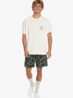 Mens Quiksilver Tees|Silver Lining T-Shirt