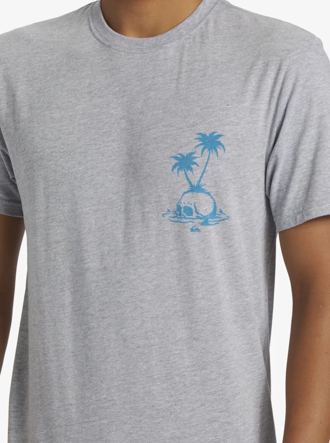 Mens Quiksilver Tees|Skull Island T-Shirt
