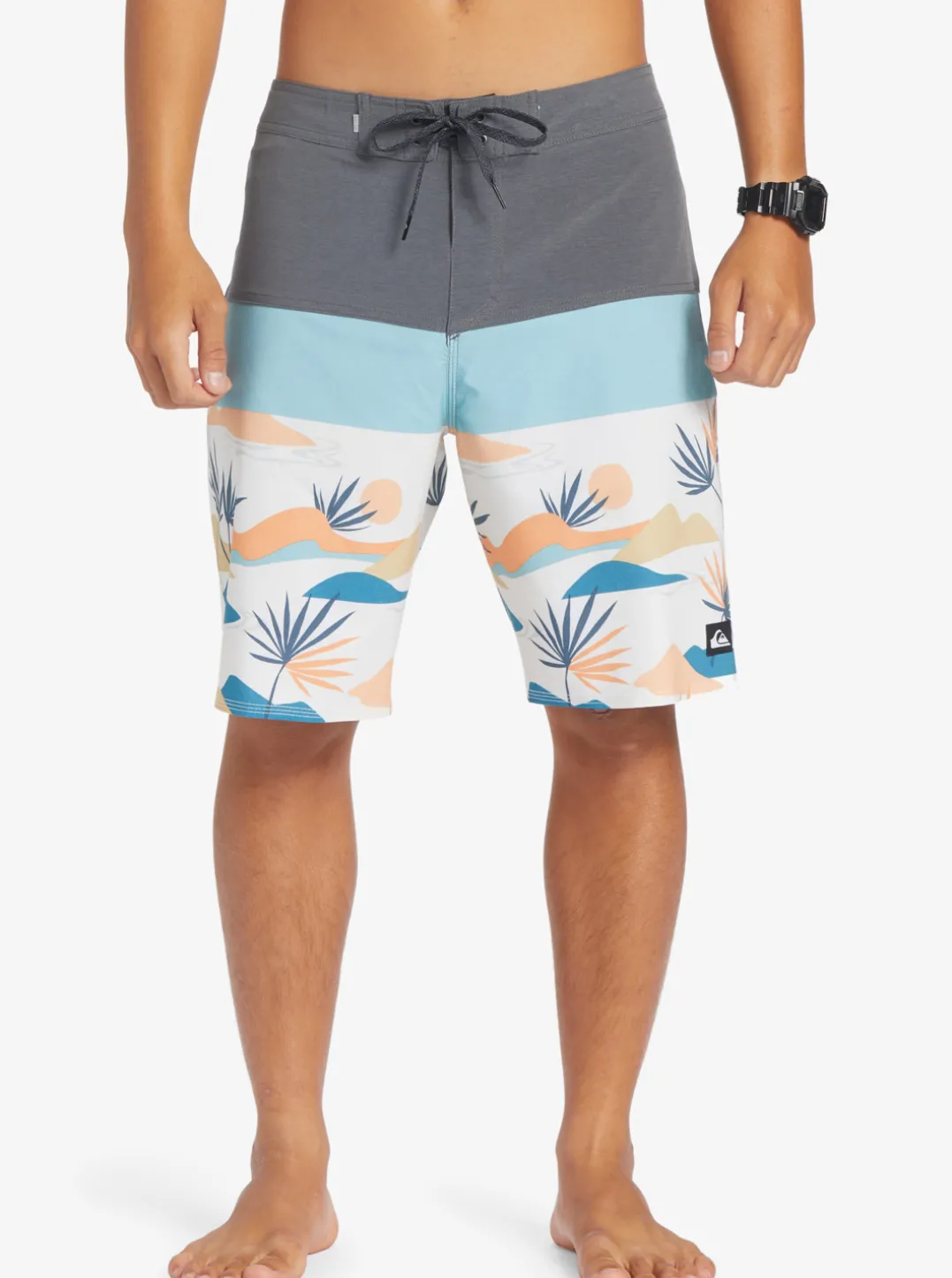 Mens Quiksilver Boardshorts|Surfsilk Panel 20" Boardshorts