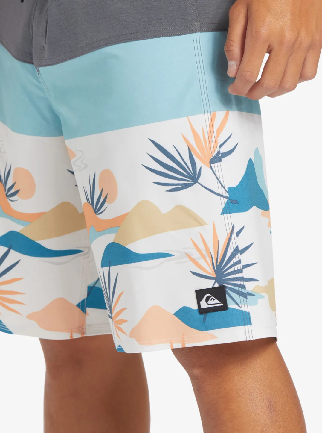 Mens Quiksilver Boardshorts|Surfsilk Panel 20" Boardshorts