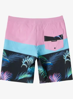 Mens Quiksilver Boardshorts|Surfsilk Panel 20" Boardshorts