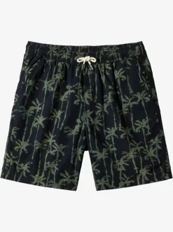 Mens Quiksilver Shorts & Amphibians|Taxer Print Elastic Waist Shorts