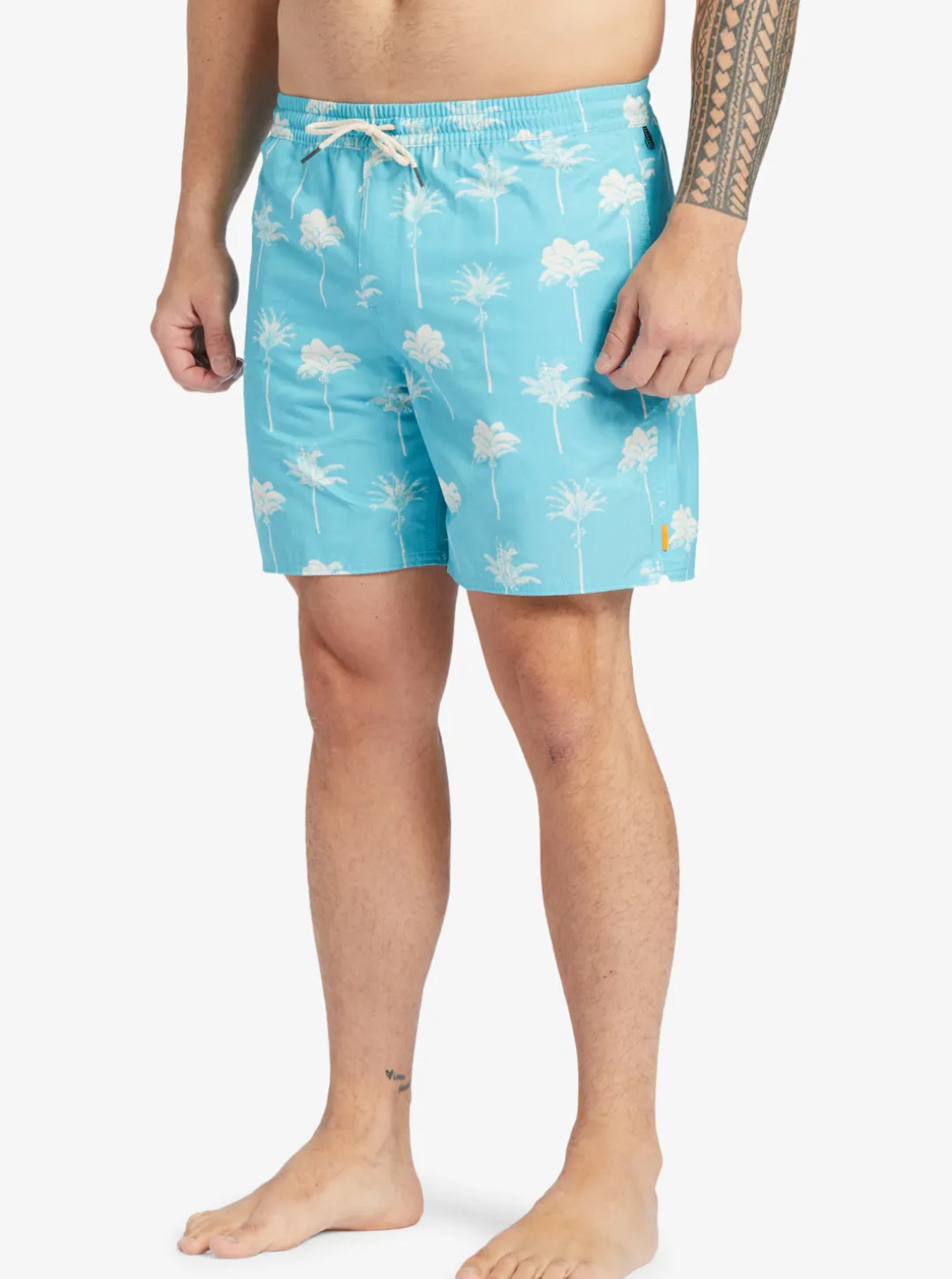 Mens Quiksilver Elastic Waist|Waterman Cliffside 17" Elastic Waist Shorts