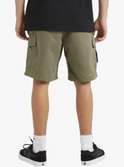 Mens Quiksilver Shorts|Waterman Maldive Atoll Cargo 20