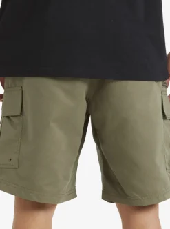 Mens Quiksilver Shorts|Waterman Maldive Atoll Cargo 20