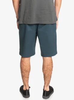 Mens Quiksilver Shorts|Waterman Secret Ocean 20