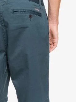 Mens Quiksilver Shorts|Waterman Secret Ocean 20